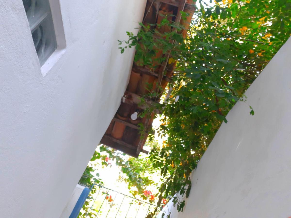 Holiday home Arraial Casinha Centro *