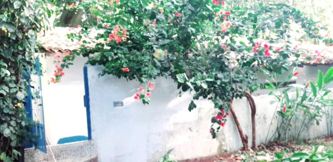 Holiday home Arraial Casinha Centro
