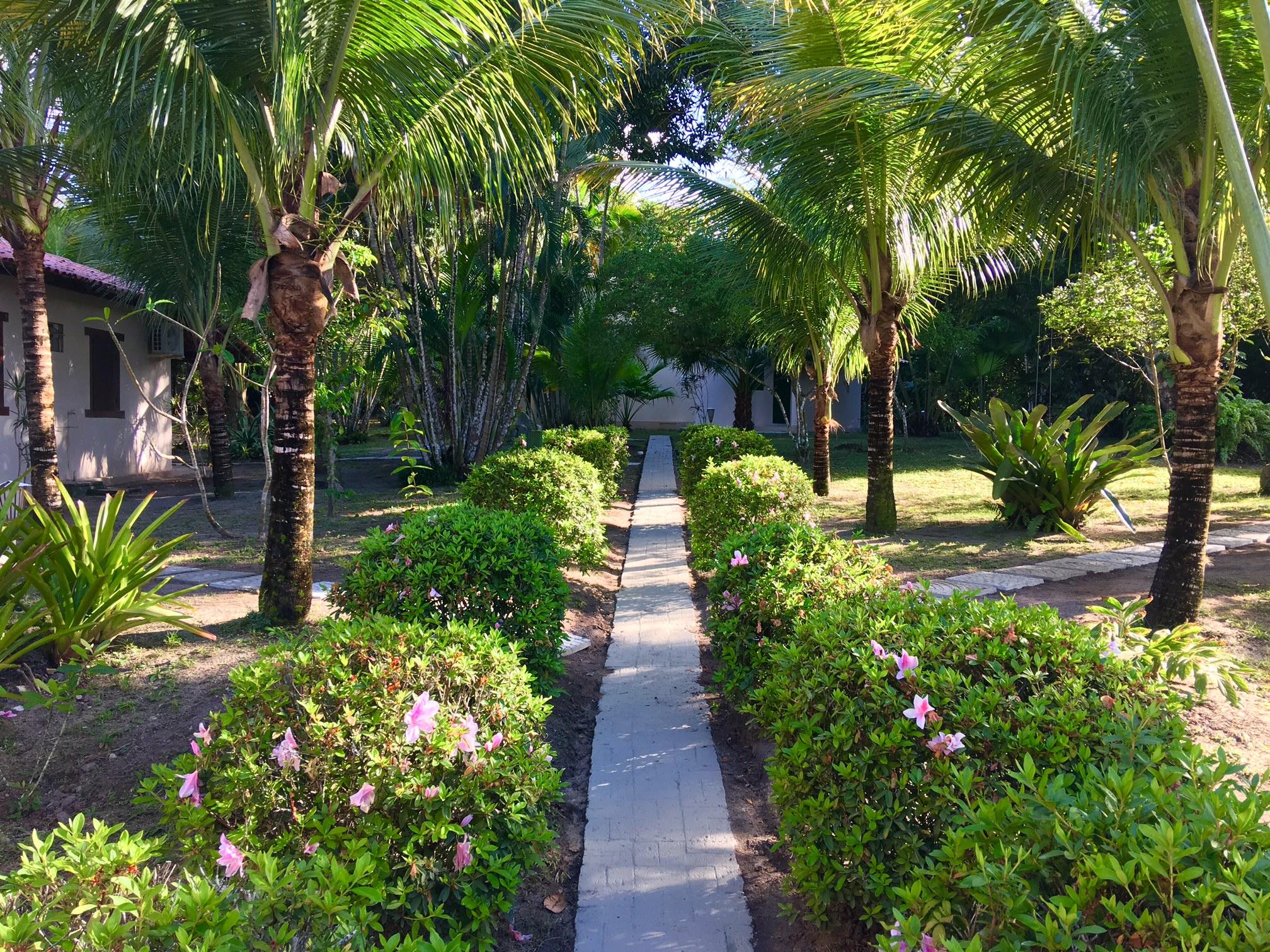 Tropical 2*