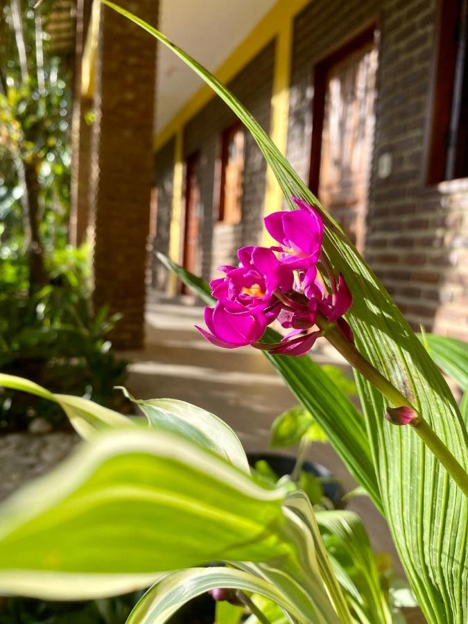 Inn Aruana *