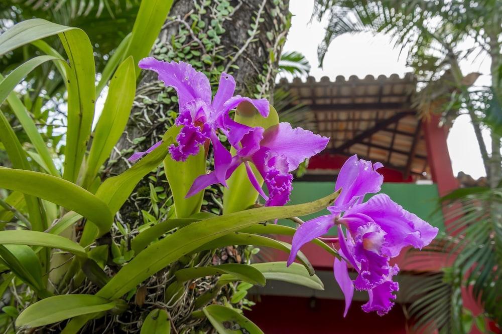 De Charme Amoremio Guest house