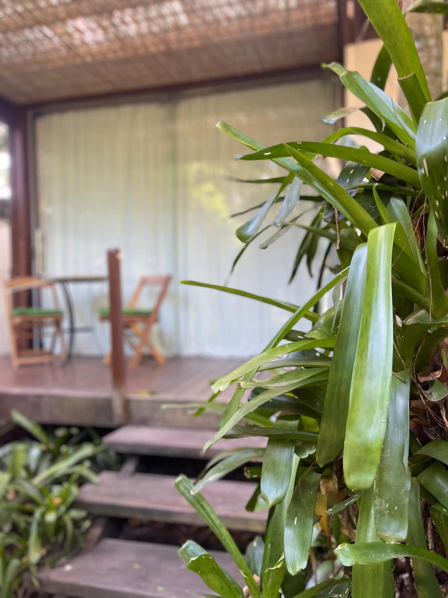 Yucca Acomodação com café da manhã  3*