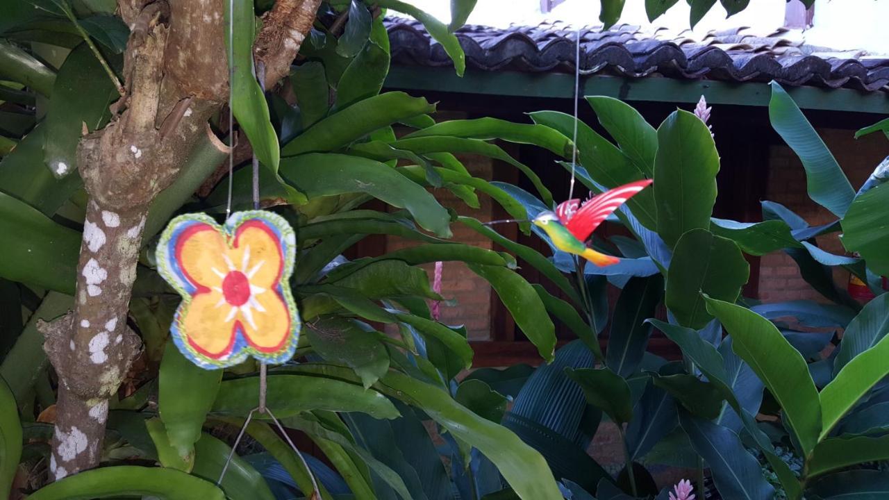 Bucaneiros Pensão 2*