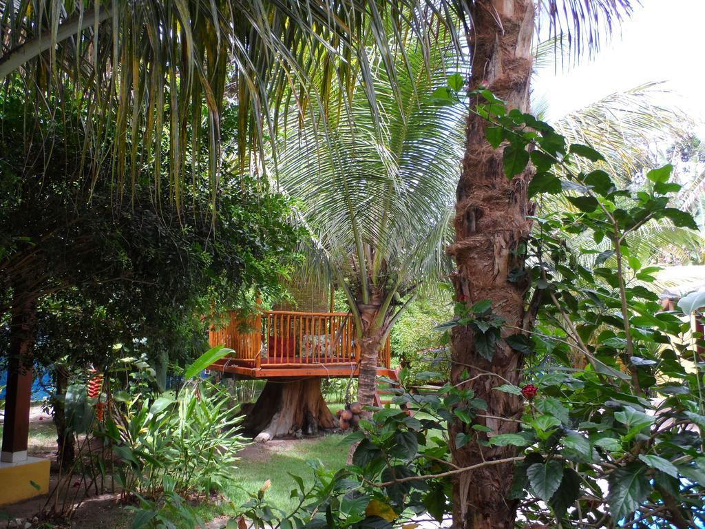 Casa Da Arvore Inn 3*
