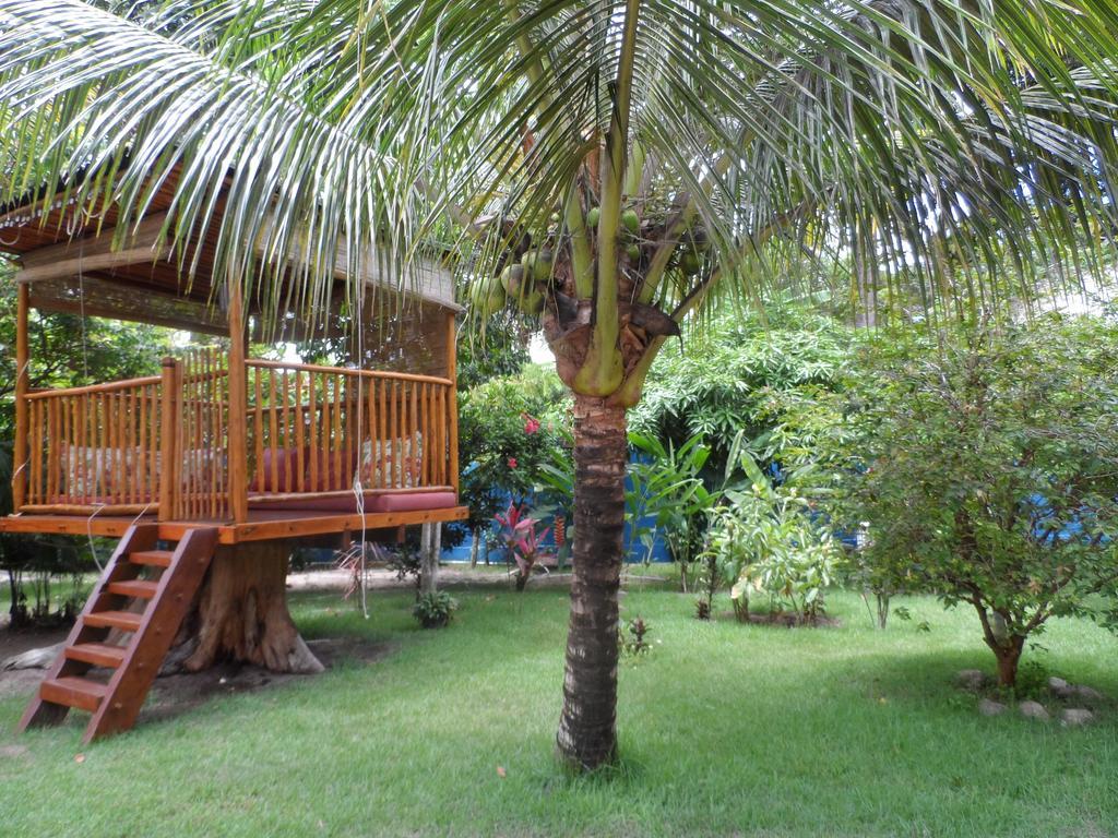 Casa Da Arvore 3*