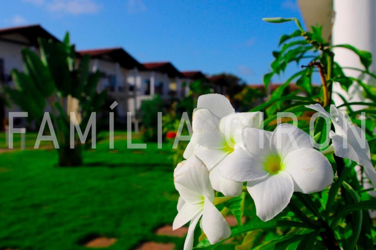 Apartment Flats A 100 Mts Da *