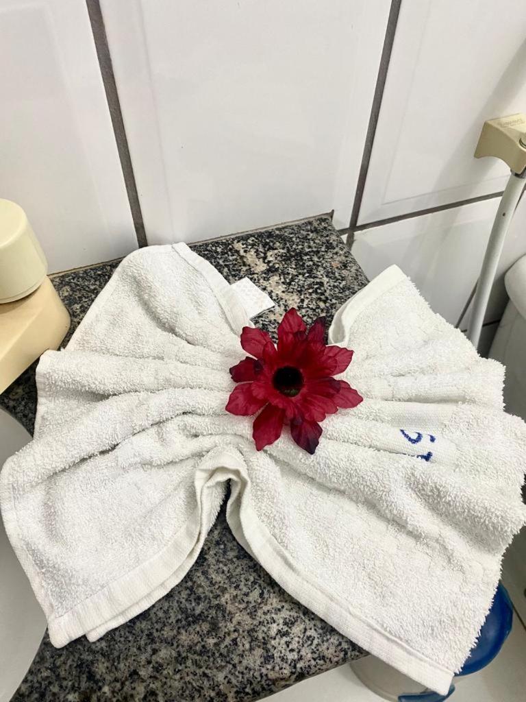 Apartment Golden Dolphin - Aptº Taperapuan Em Porto