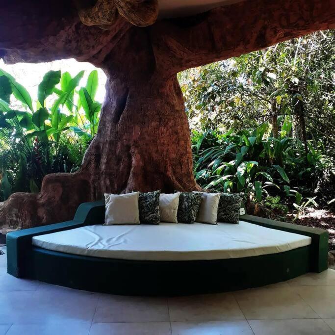 Holiday home Casa Na Arvore A Beira-mar *