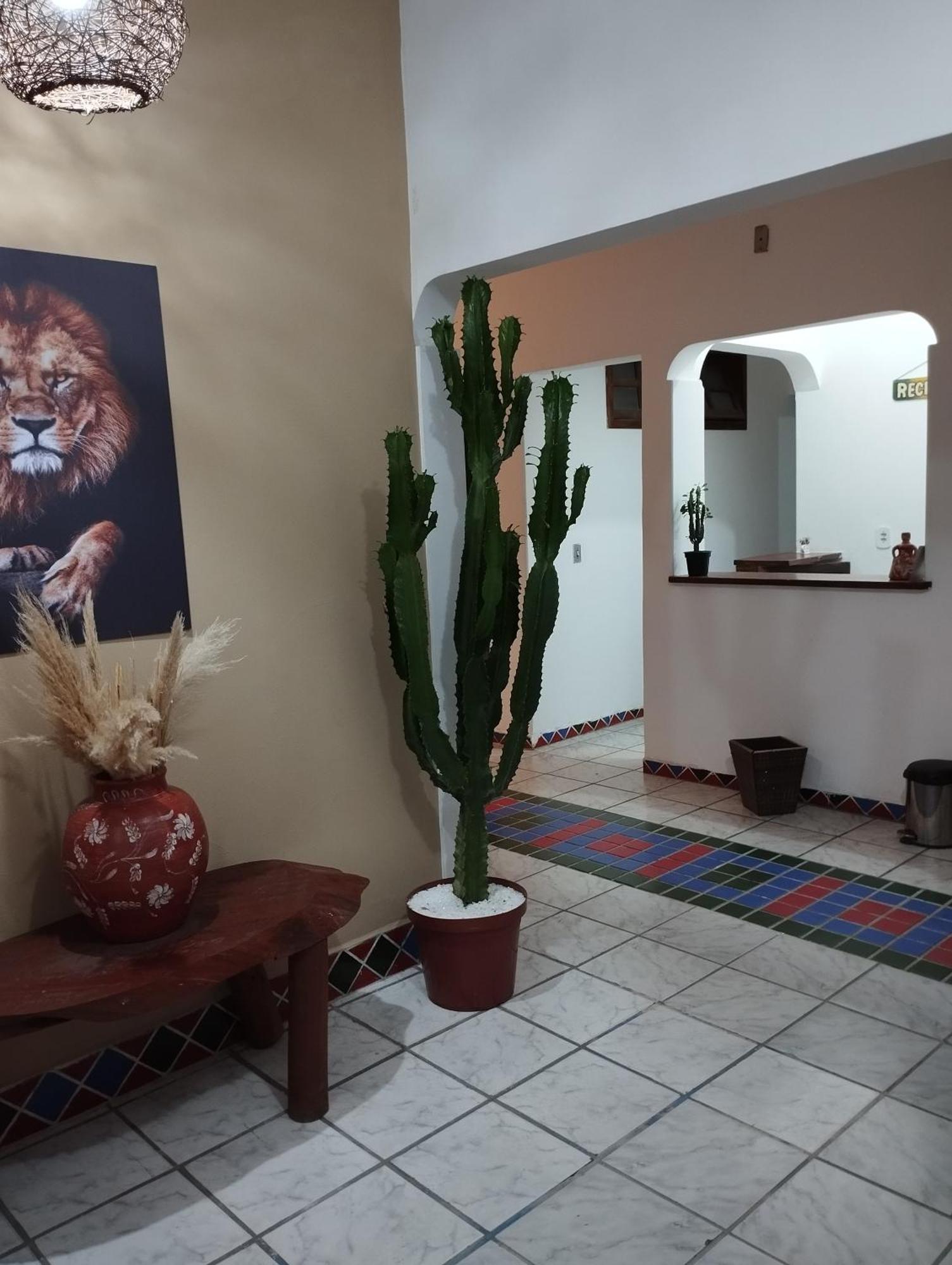 Ray Sol - Centro Arraial D Ajuda Hotel 3*