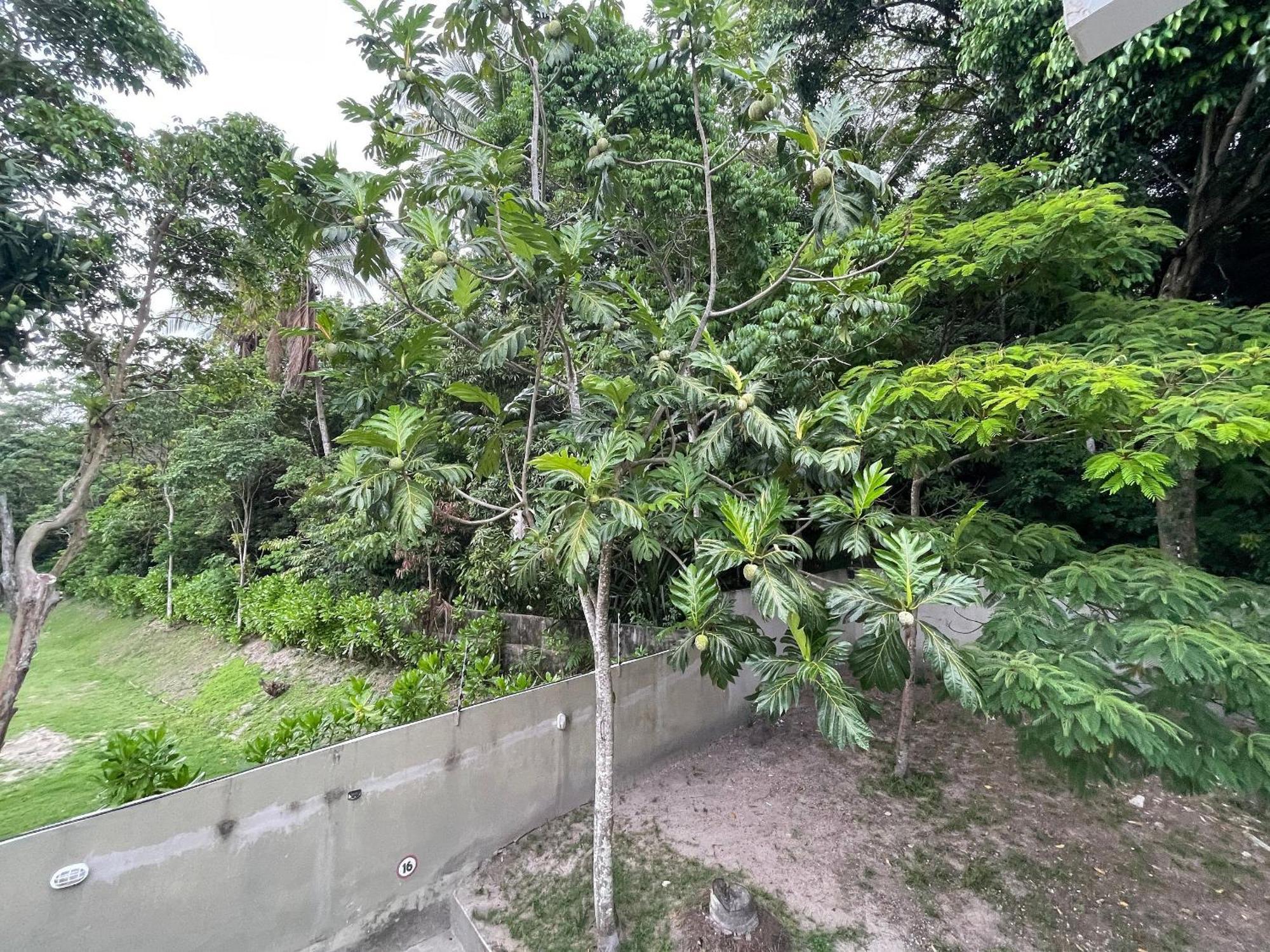 Apto 2/4 500m Da Praia De Taperpuan Apartment