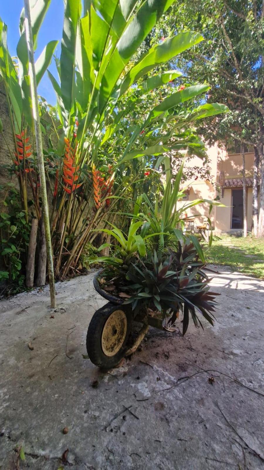 Solar Do Arraial *