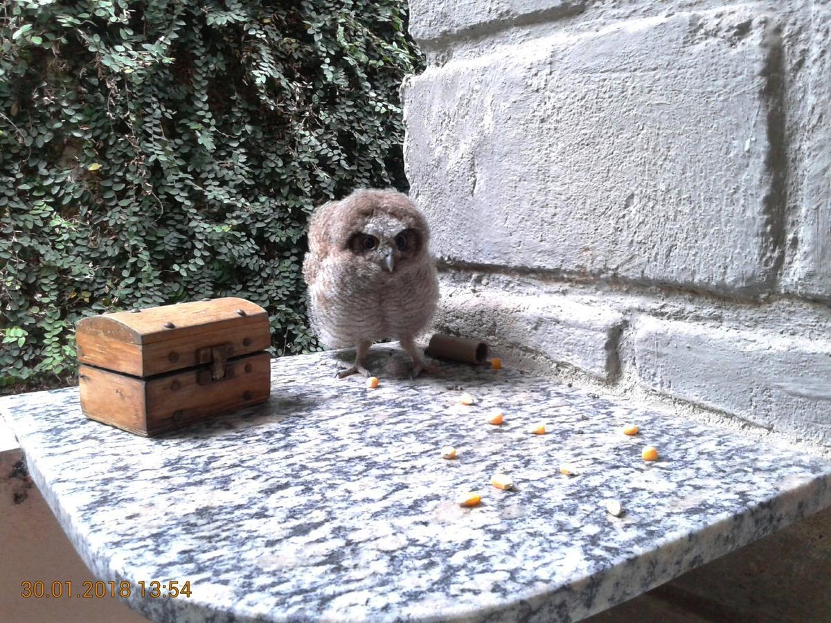 Quitinetes Rusticas Junto A Natureza - Bruxas E Bruxos * Porto Seguro