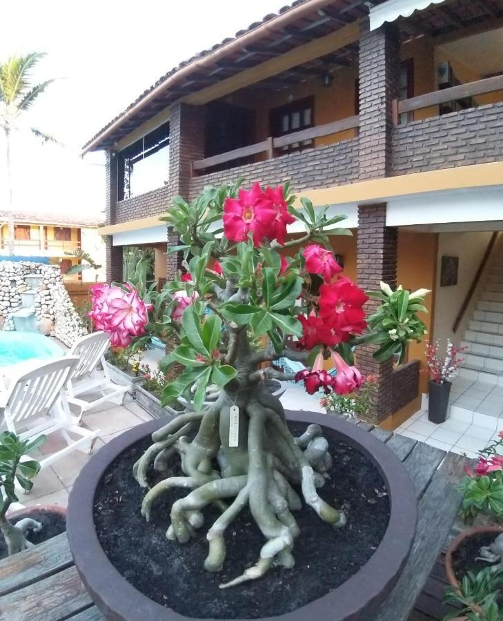 A Flor Da Terra Inn