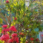 Praia Boulevard Flat Porto Bahia