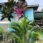 Flores Da Aldeia
