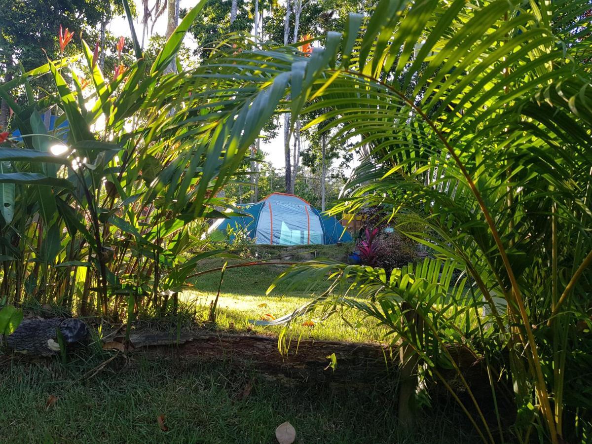 Campsite Camping Macacos D'ajuda *