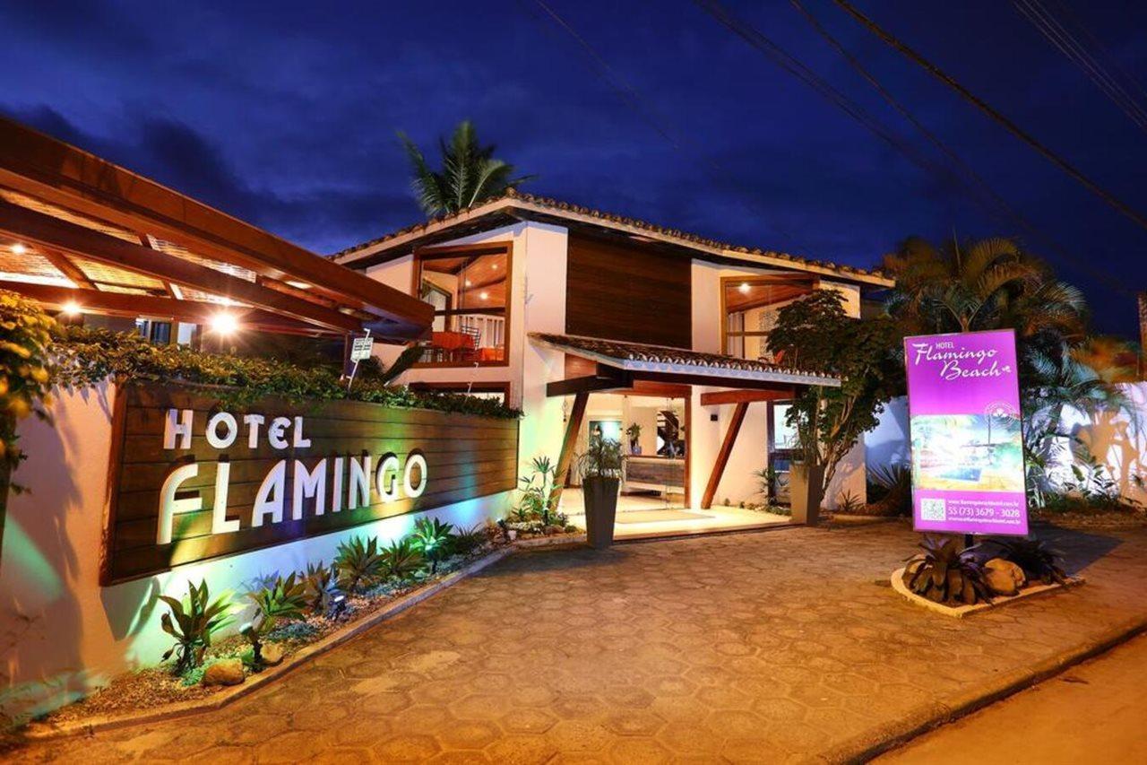 Flamingo By Hc