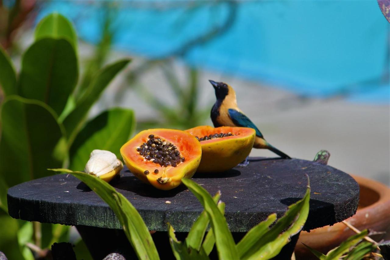 Homestay Feliz Arraial
