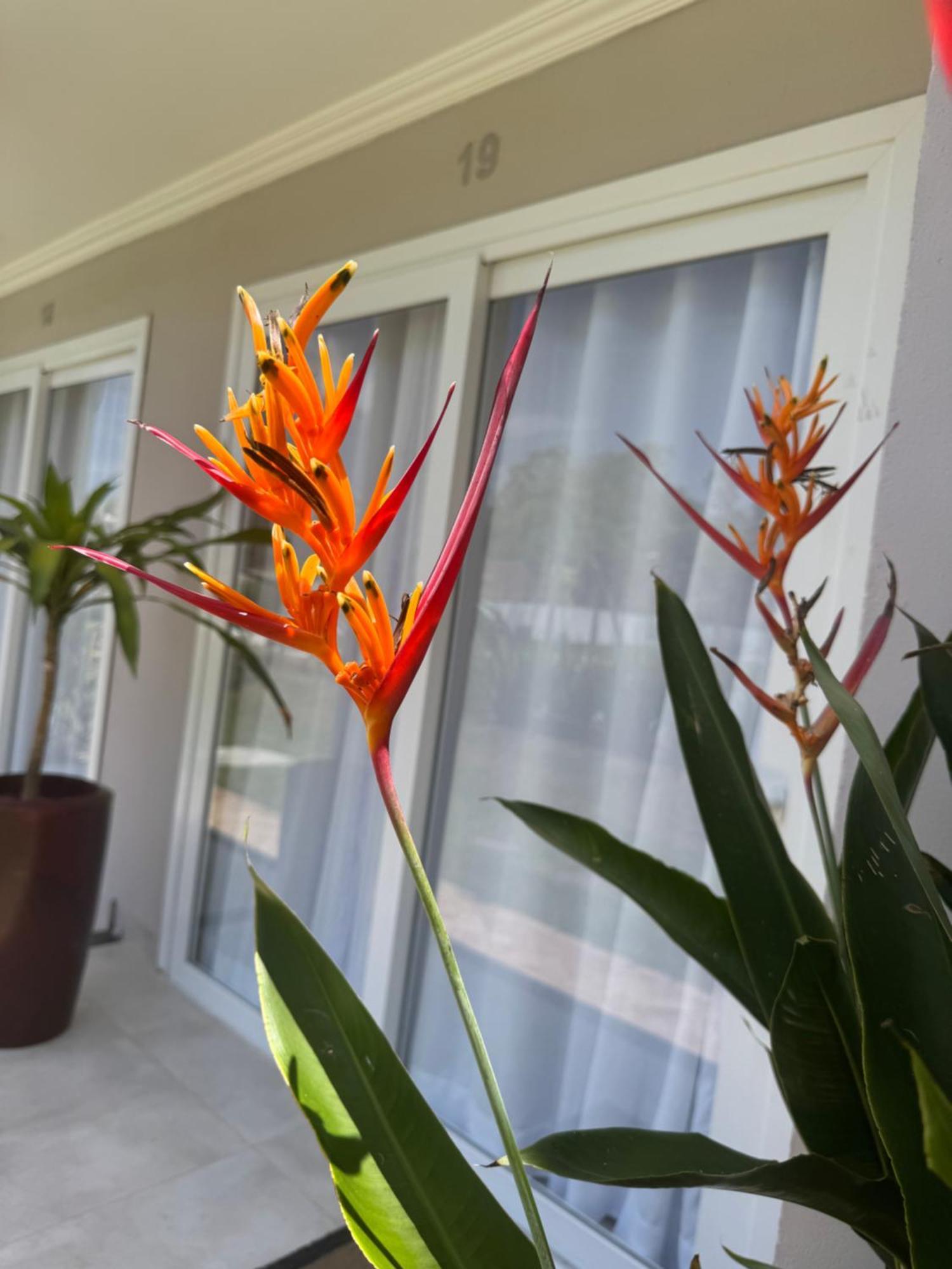 Casa Em Arraial D'ajuda Casa de férias *