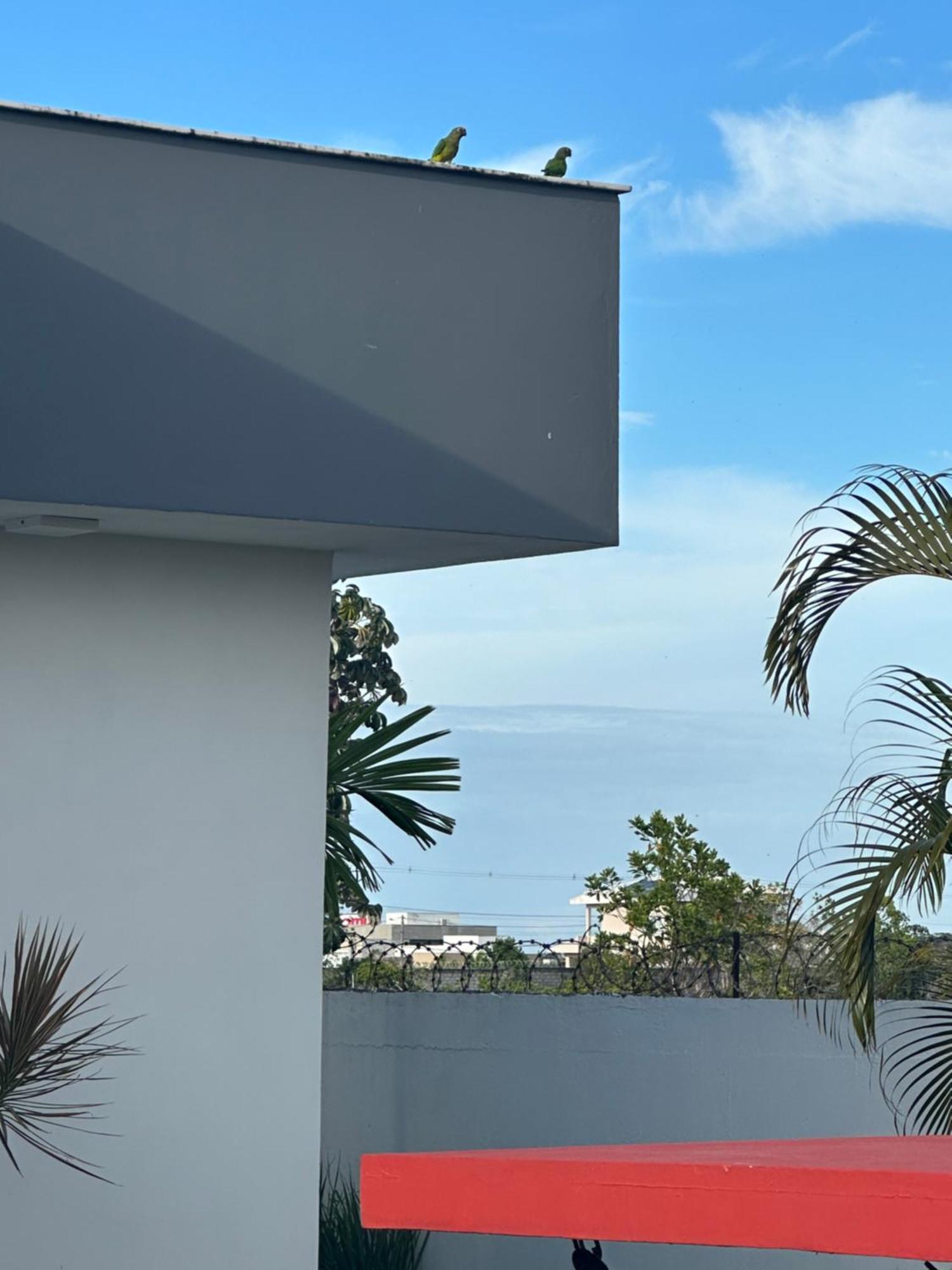 Aconchegante Com Delicioso Cafe Da Manha * Porto Seguro