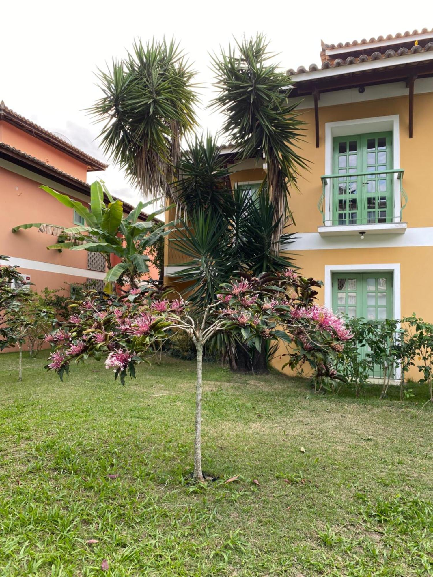 Apartment Flores Da Aldeia Porto Seguro
