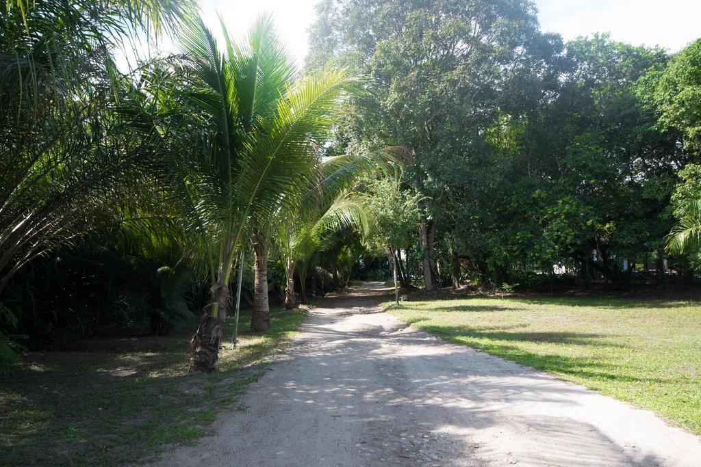 Atlantida