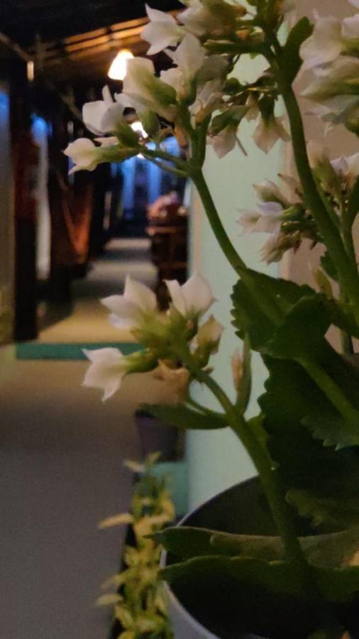Bed & Breakfast Lua Mar Arraial D'ajuda *