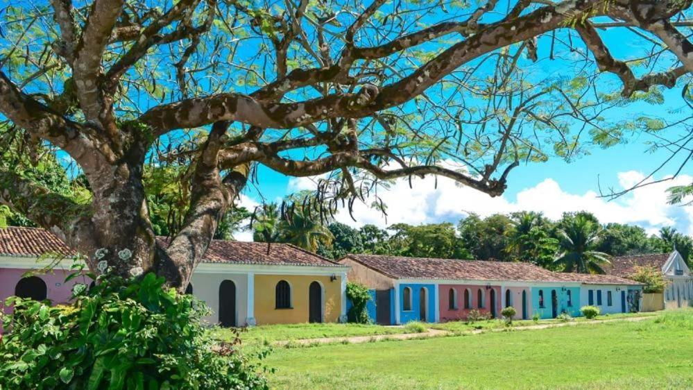 Bimba - Bahia Hostel