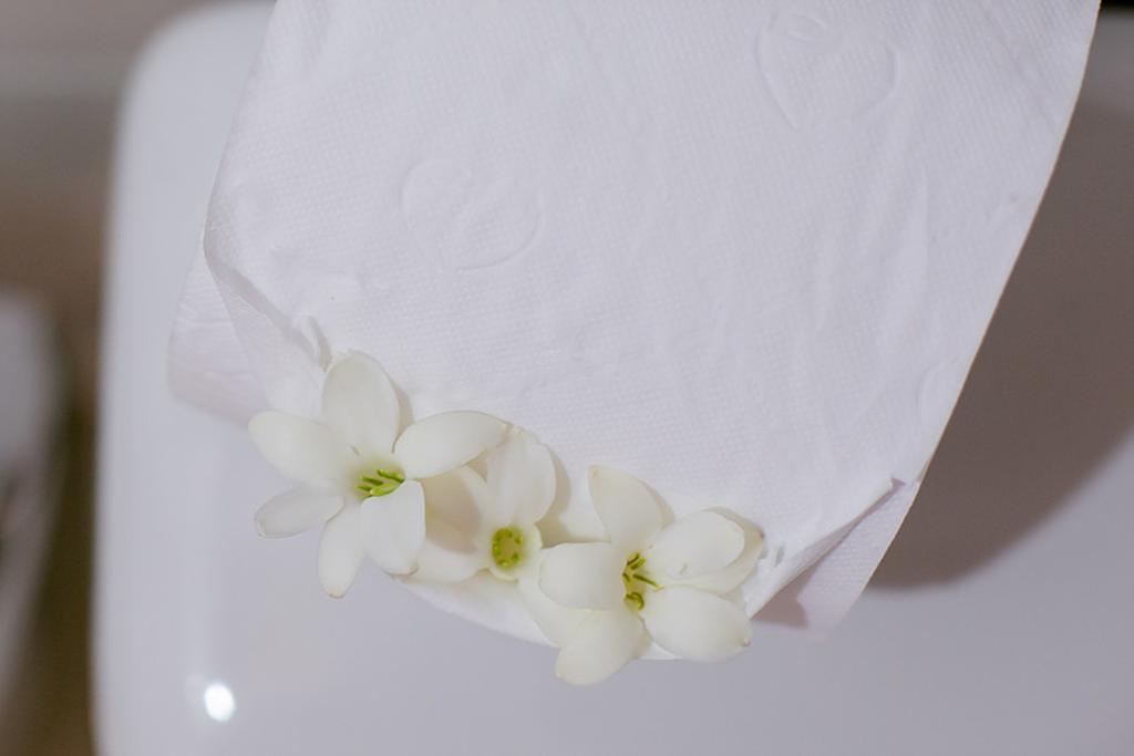 Morena Casa & Hotel 3* Porto Seguro